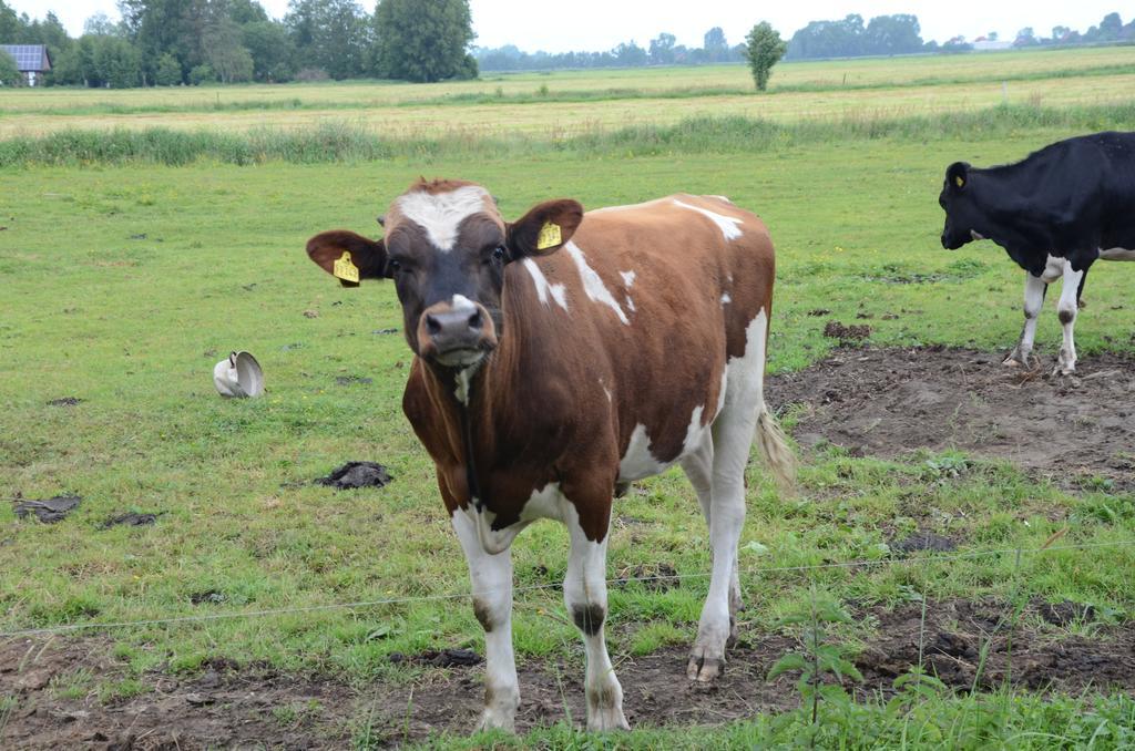 Séjour à la ferme Farm Hof Auf Der Wurp *